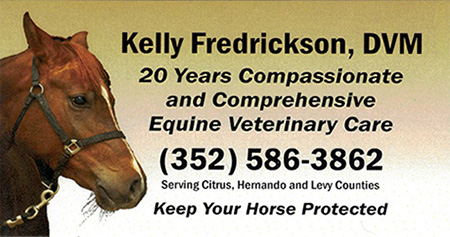 Kelly Fredrickson, DVM - Equine Veterinary Care